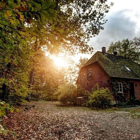 Forsthaus - Gut Thansen Soderstorf Exterior foto